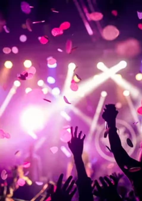 Concert crowd at night